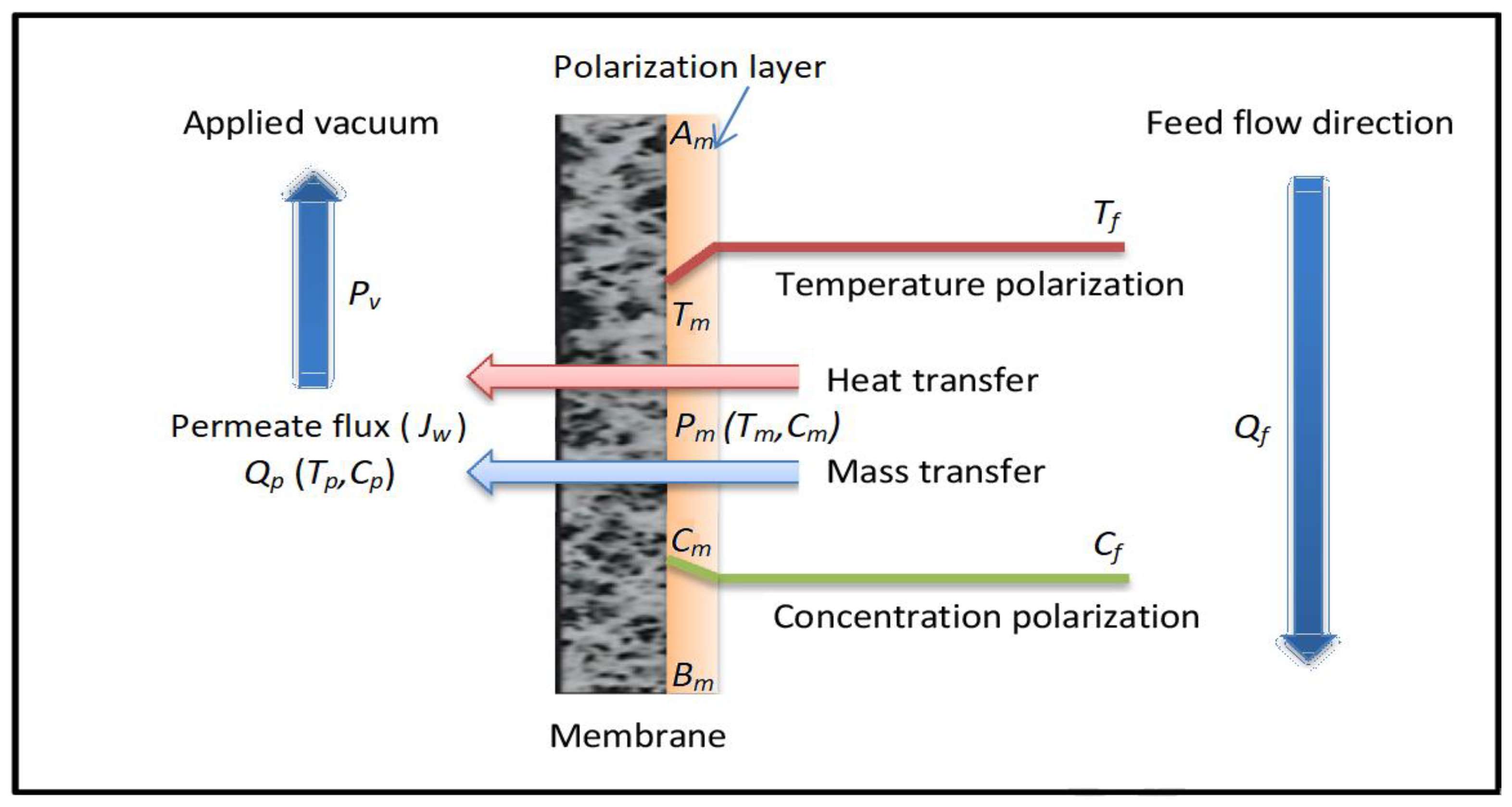 Water | Free Full-Text | Numerical Modelling and Performance Evaluation of Vacuum  Membrane Distillation for Energy-Efficient Seawater Desalination: Towards  Energy-Efficient Solutions