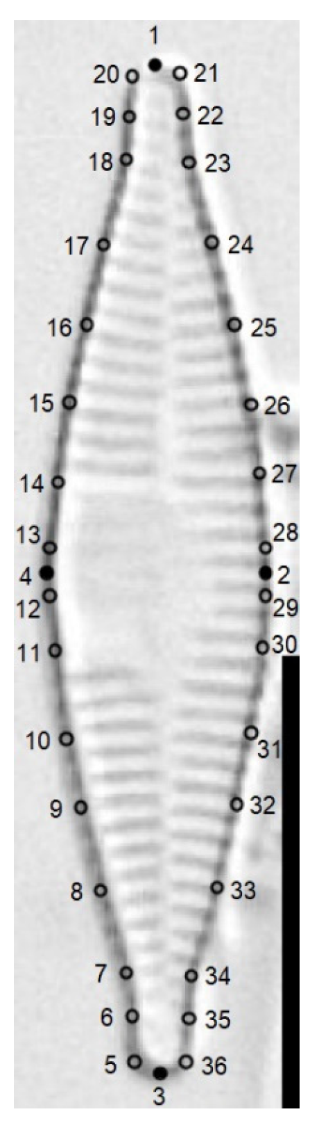 Water 15 03994 g001 Water 15 03994 g001