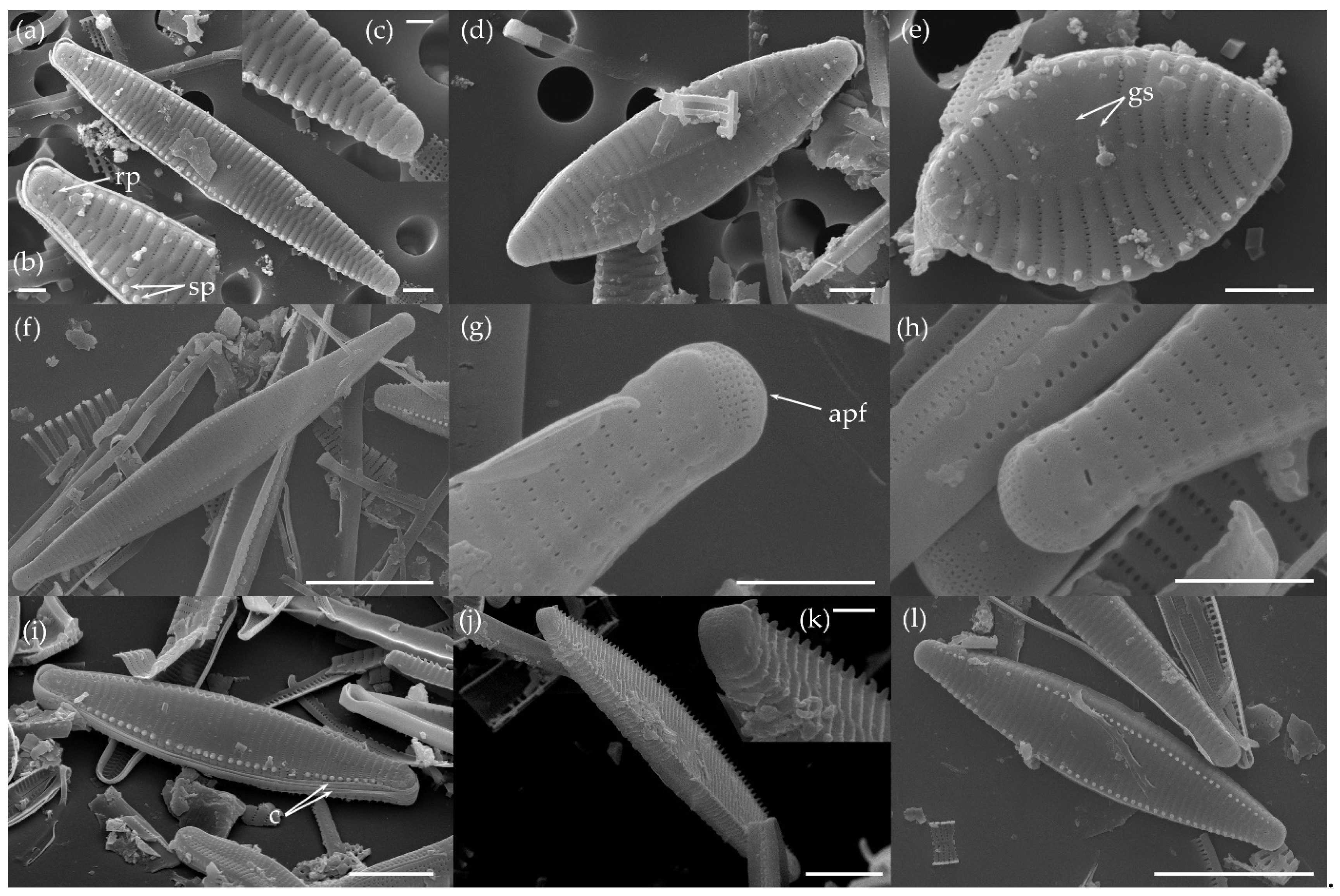 Water 15 03994 g004 Water 15 03994 g004