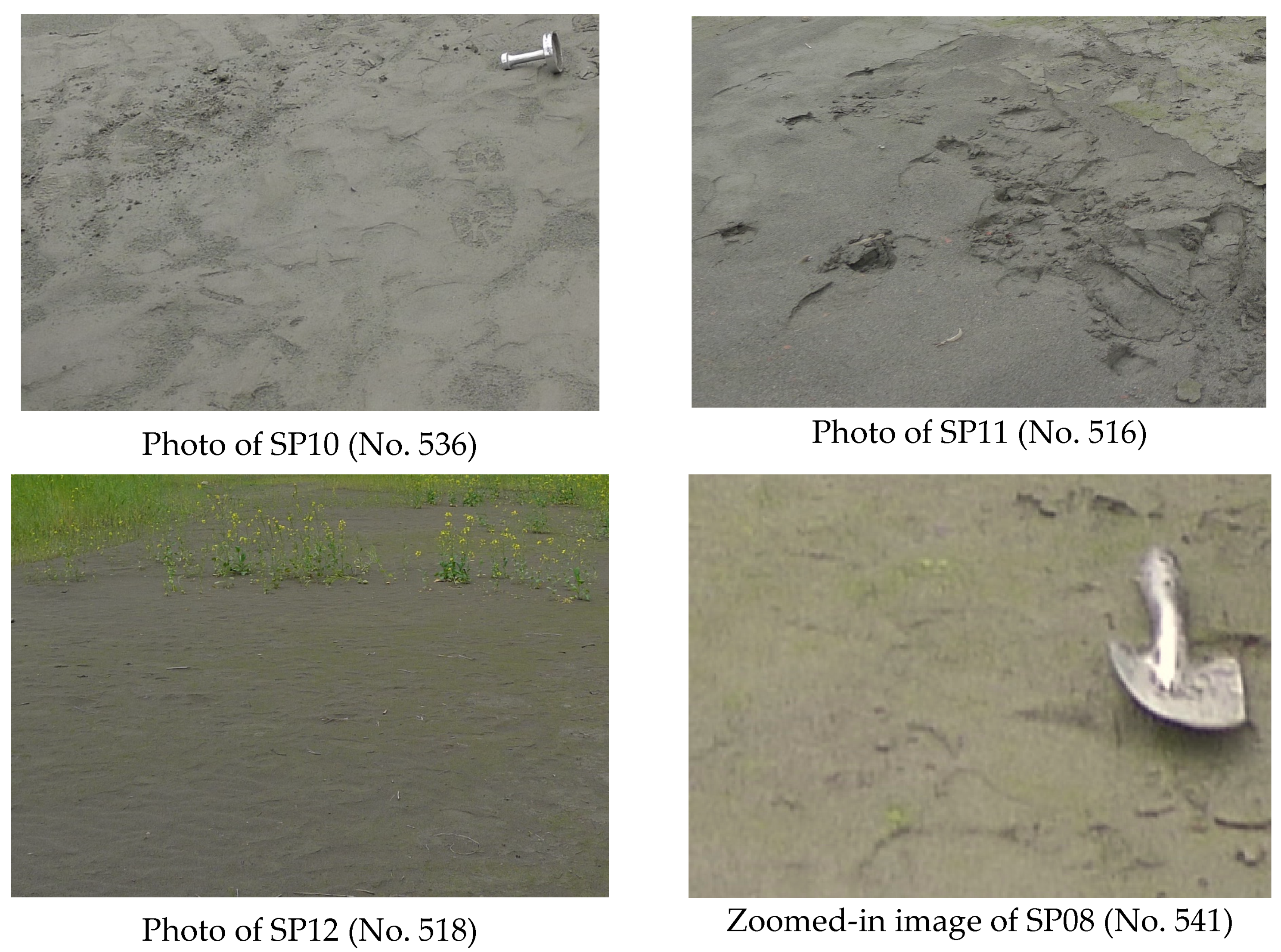 Water 16 00634 g009b