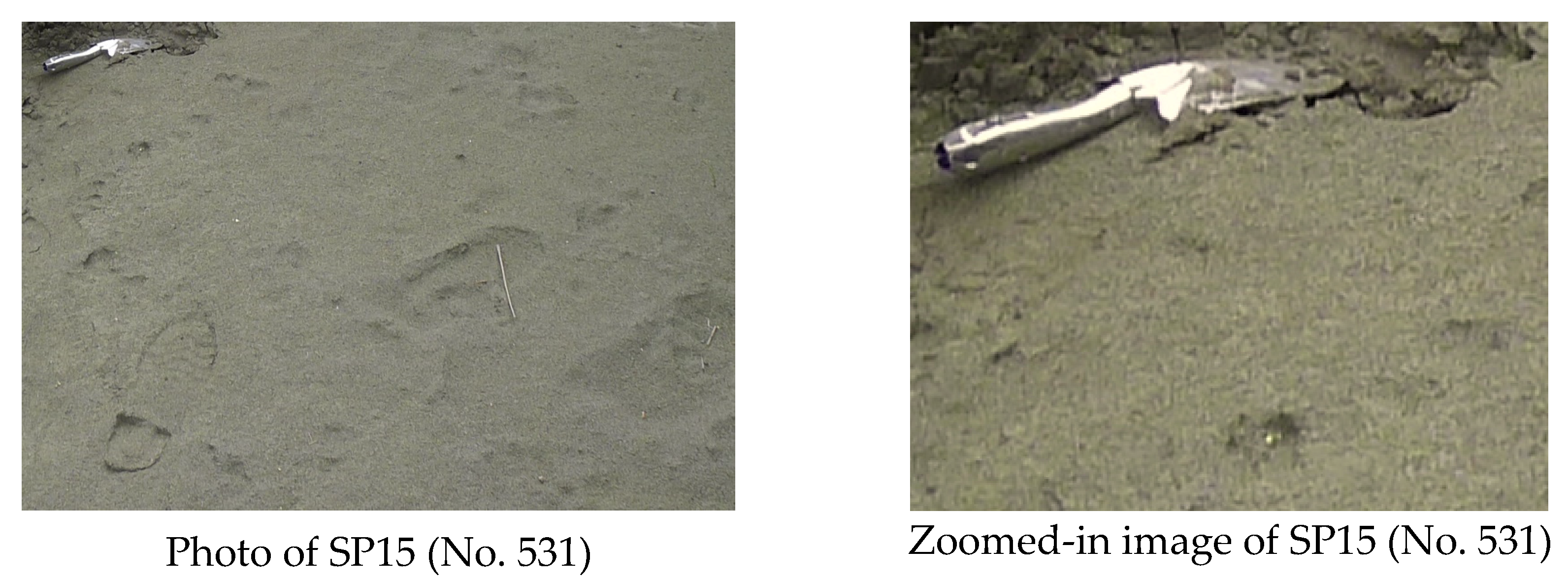 Water 16 00634 g010b