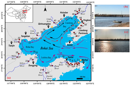 Lake Erie Central Basin- East Detailed Fishing Map, GPS Points