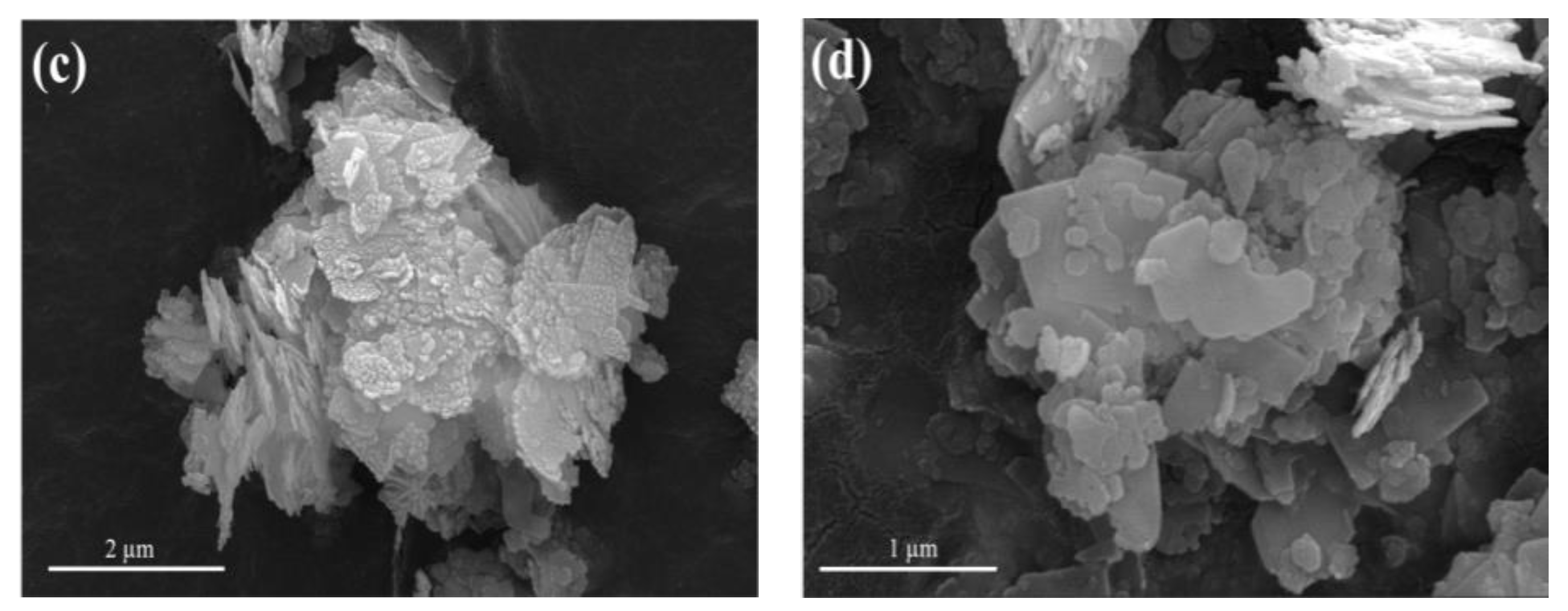 Water 16 01467 g008b