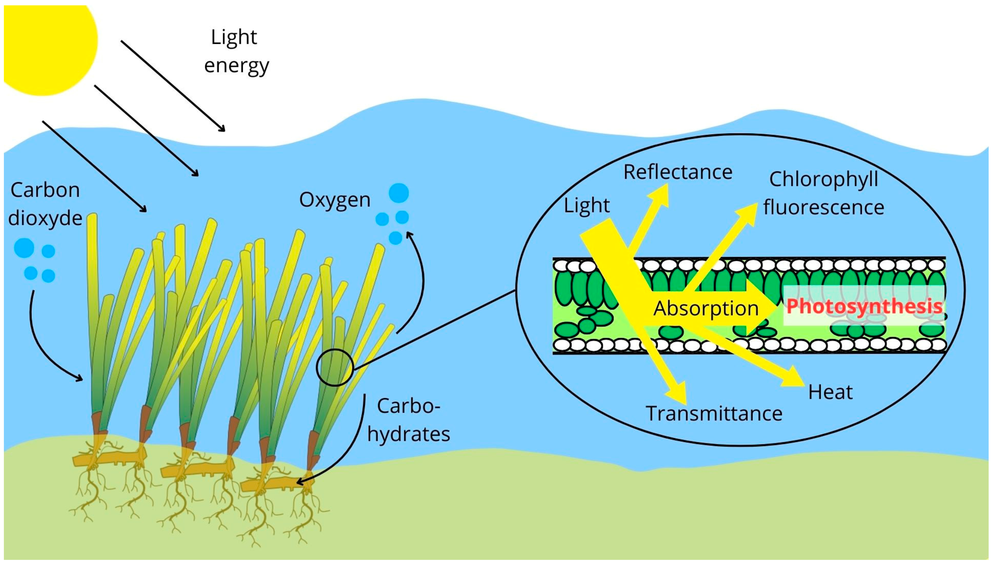 Water 16 01702 g001 Water 16 01702 g001