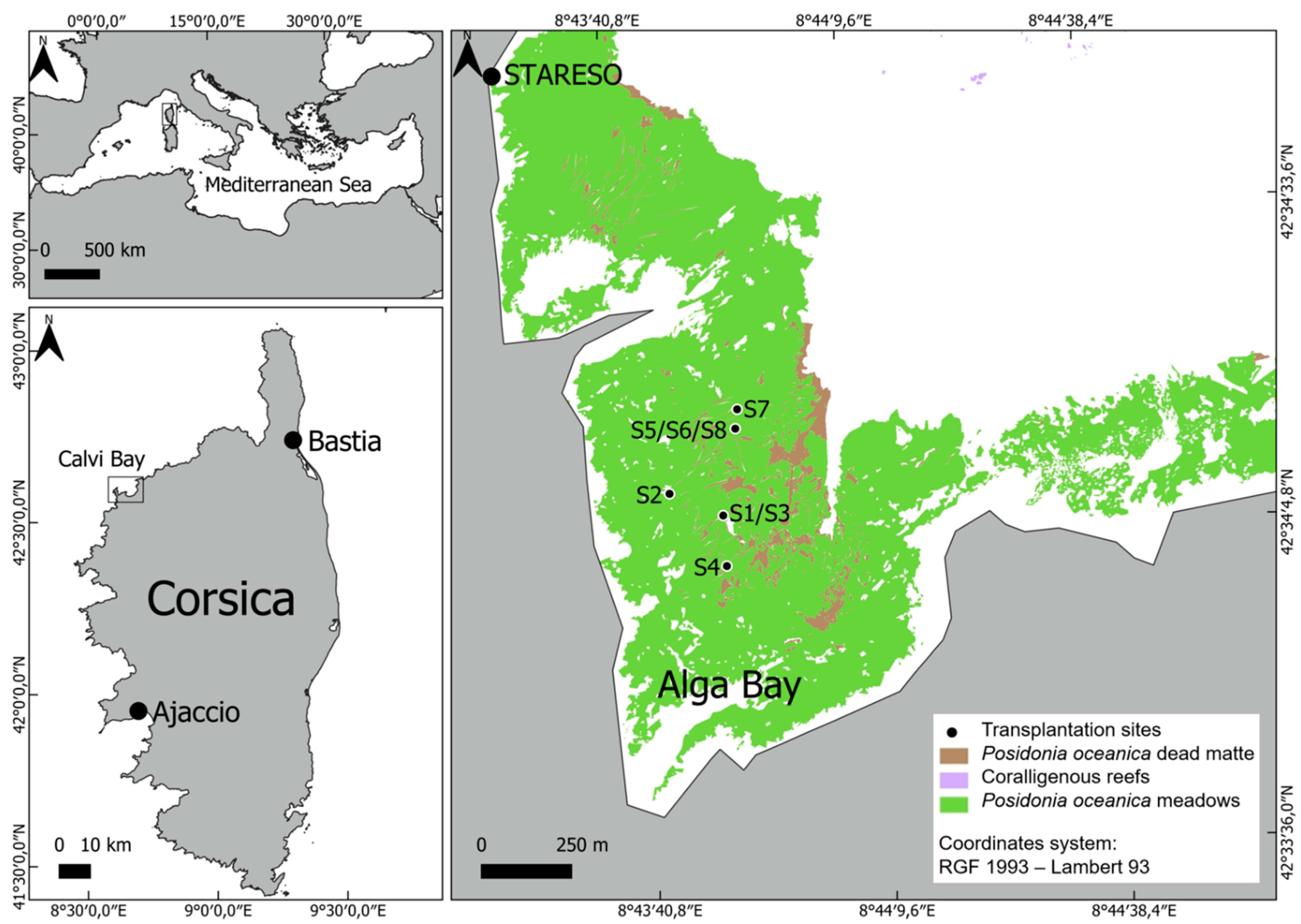 Water 16 01702 g002 Water 16 01702 g002