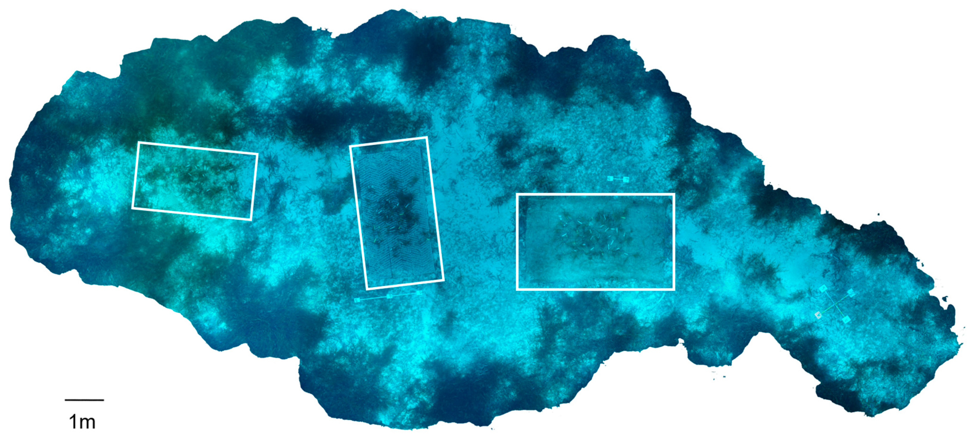 Water 16 01702 g003 Water 16 01702 g003