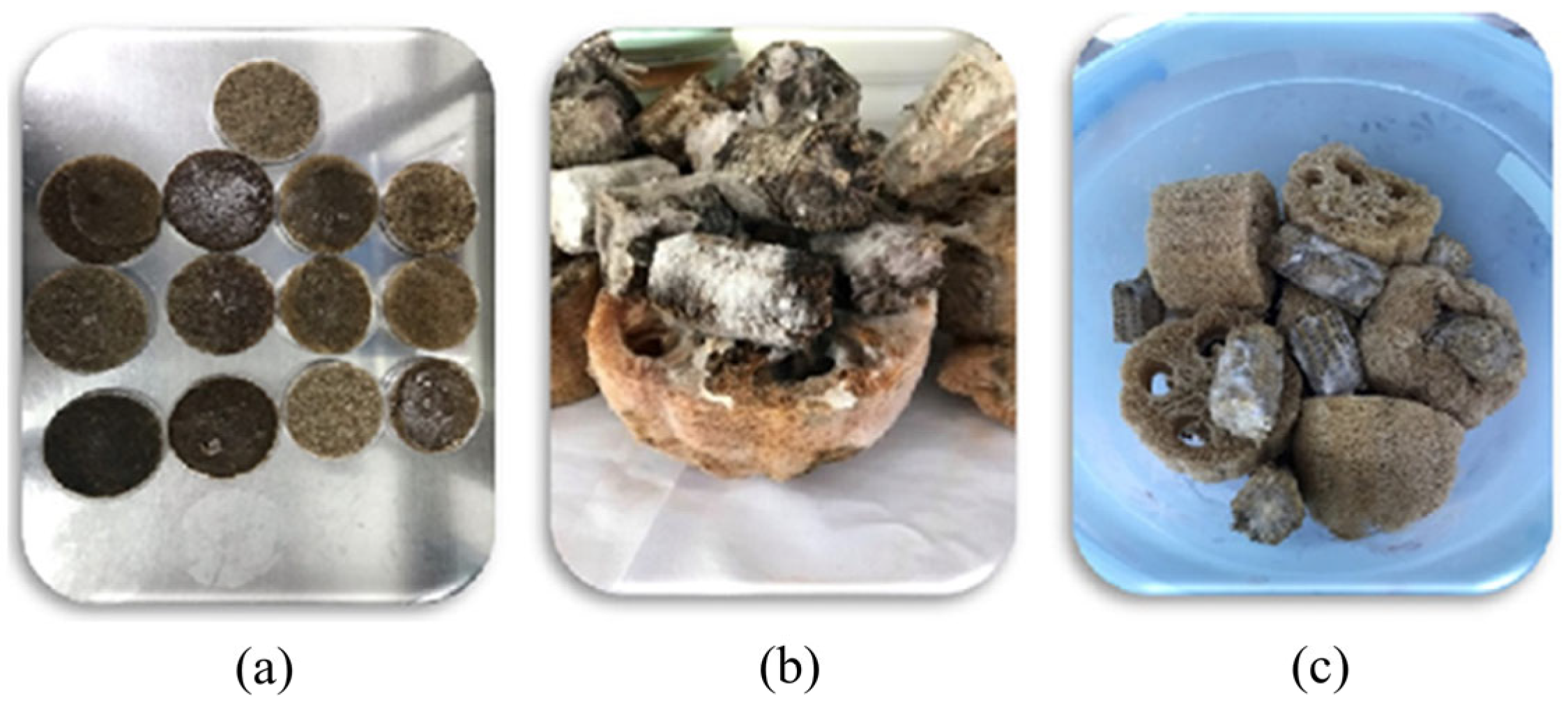 Water 16 01778 g001 Water 16 01778 g001