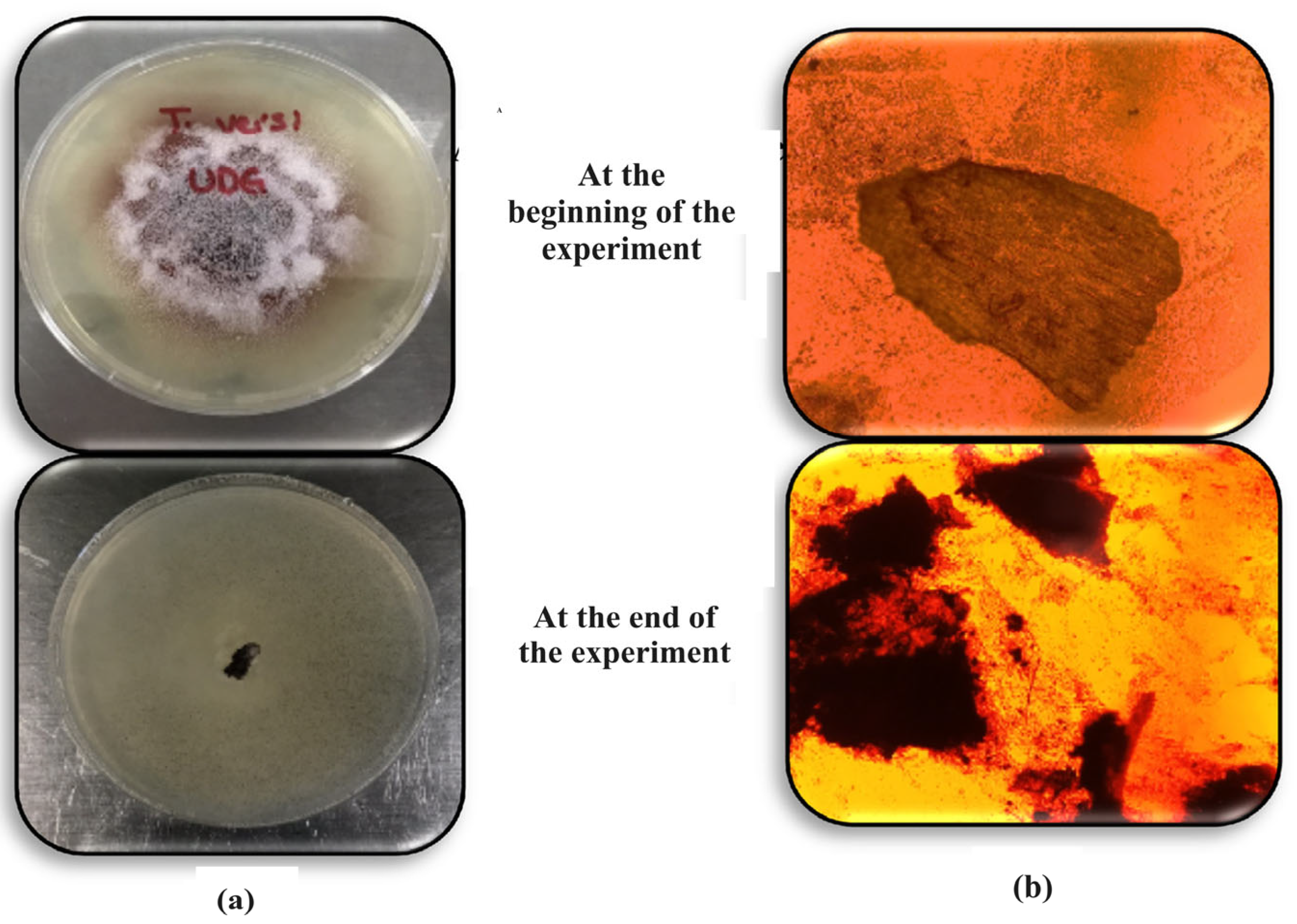 Water 16 01778 g004 Water 16 01778 g004