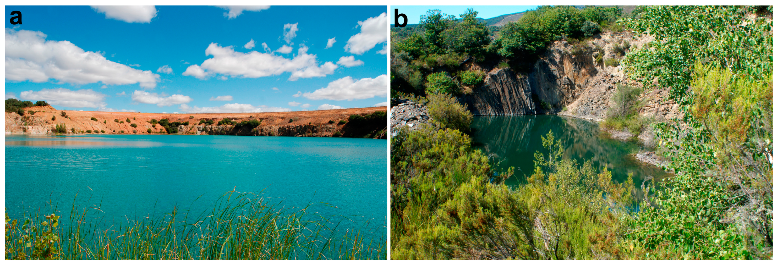 Water 16 02403 g003 Water 16 02403 g003