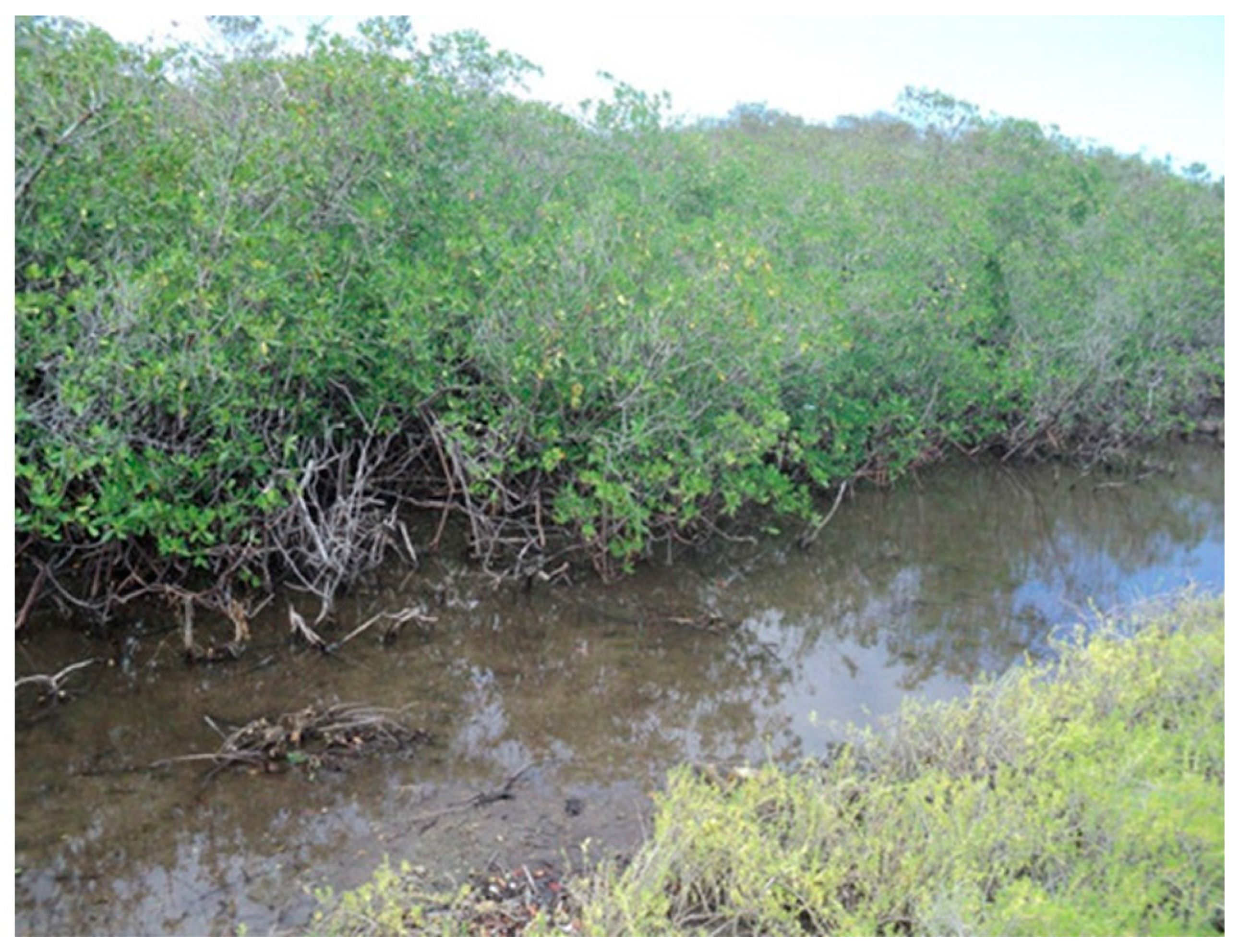 Water 16 02495 g005 Water 16 02495 g005