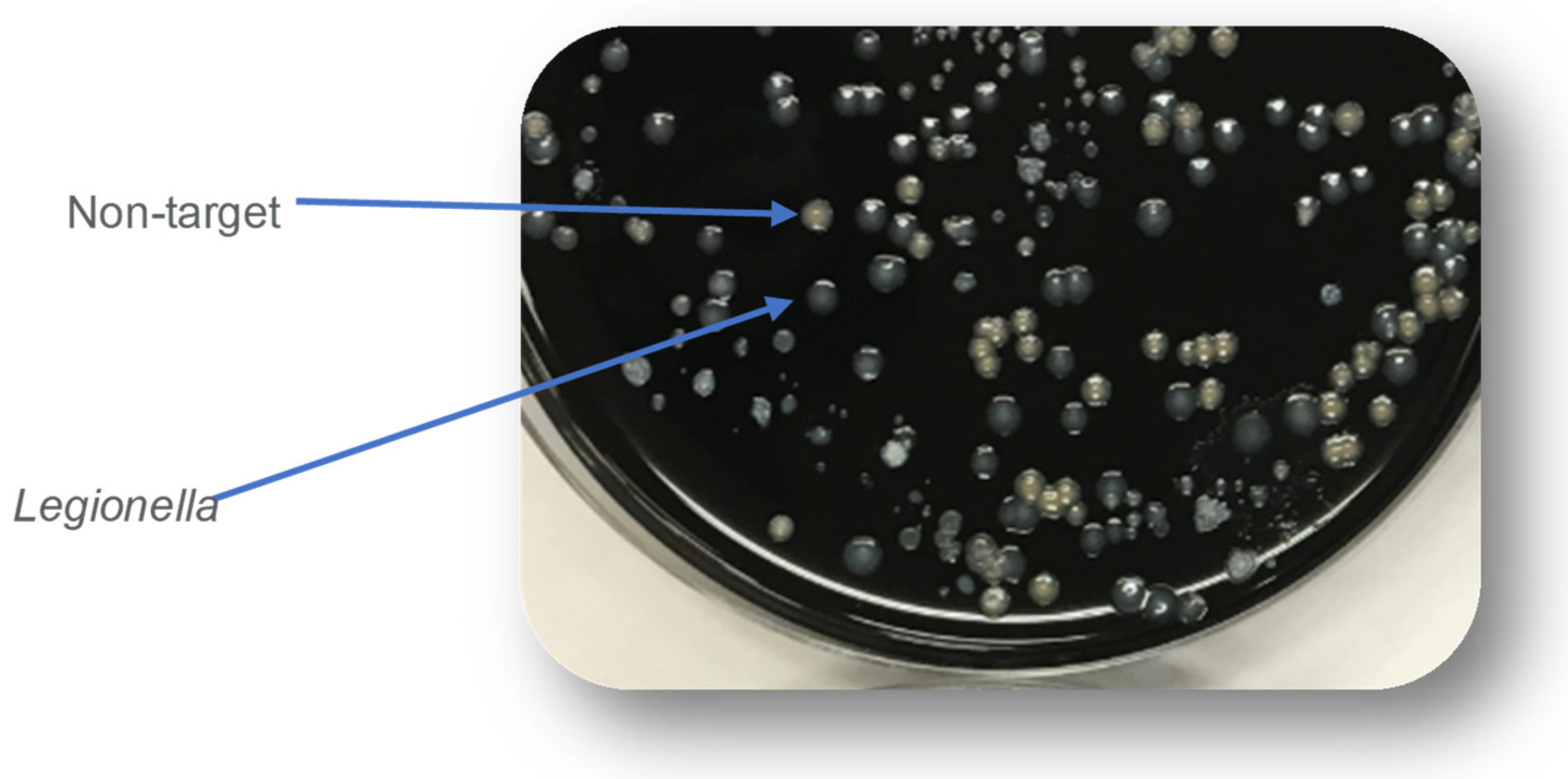 Water 17 00475 g004 Water 17 00475 g004