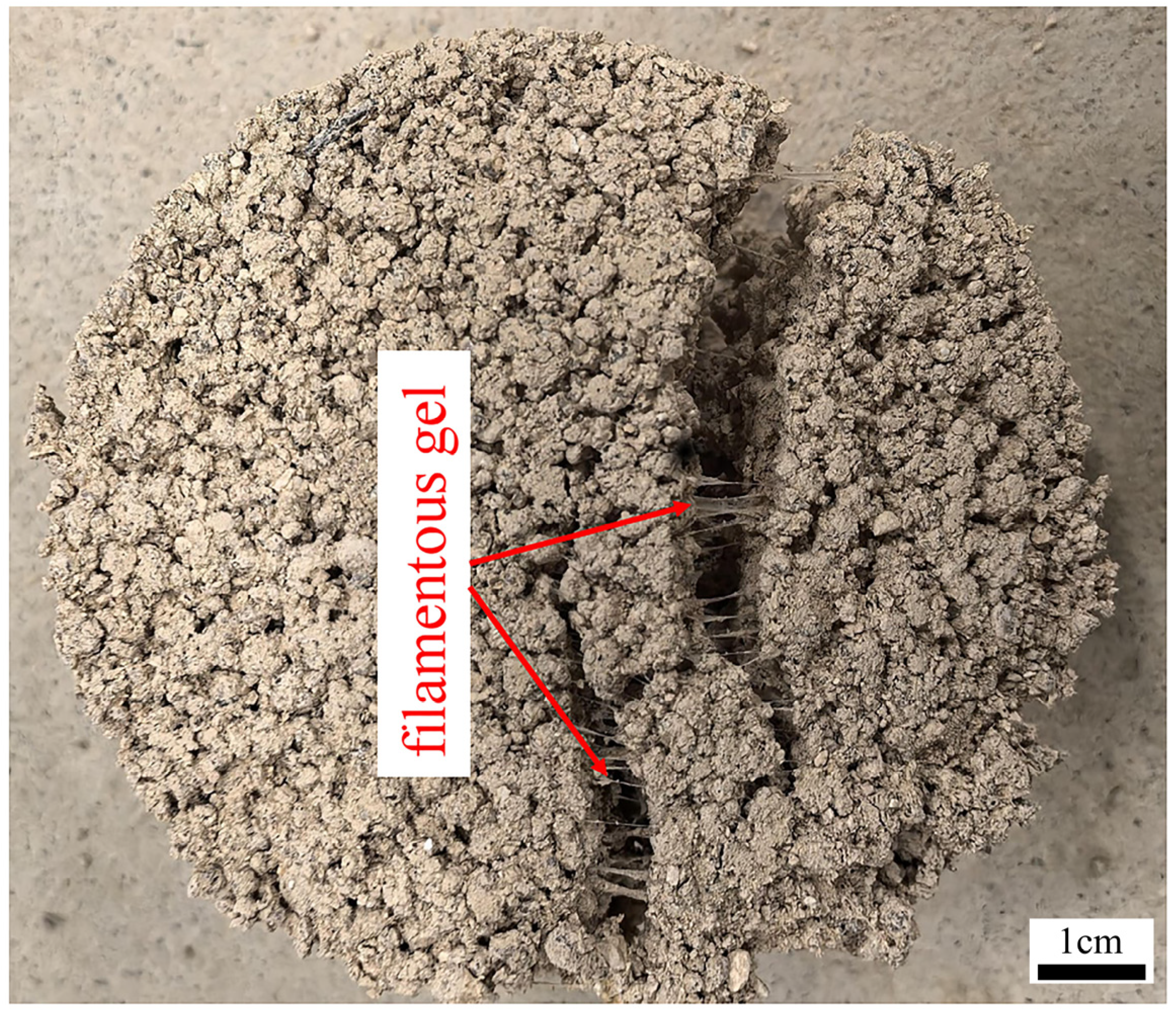 Water 17 00548 g014 Water 17 00548 g014