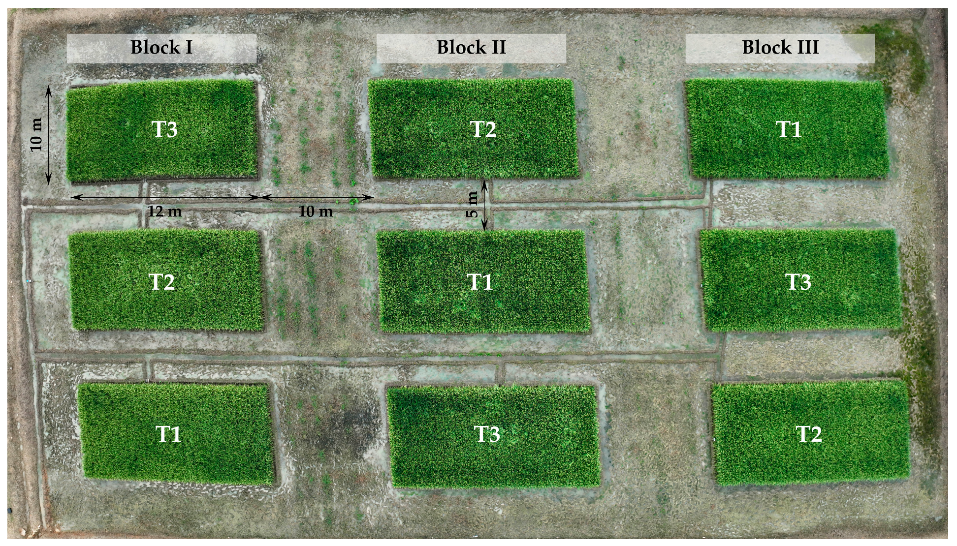 Water 17 01262 g003 Water 17 01262 g003