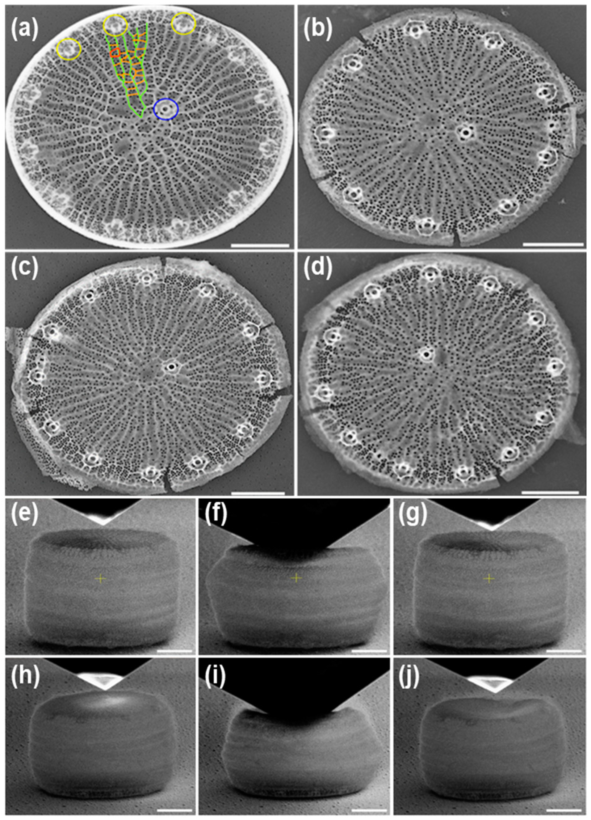 Water 17 02373 g001 Water 17 02373 g001