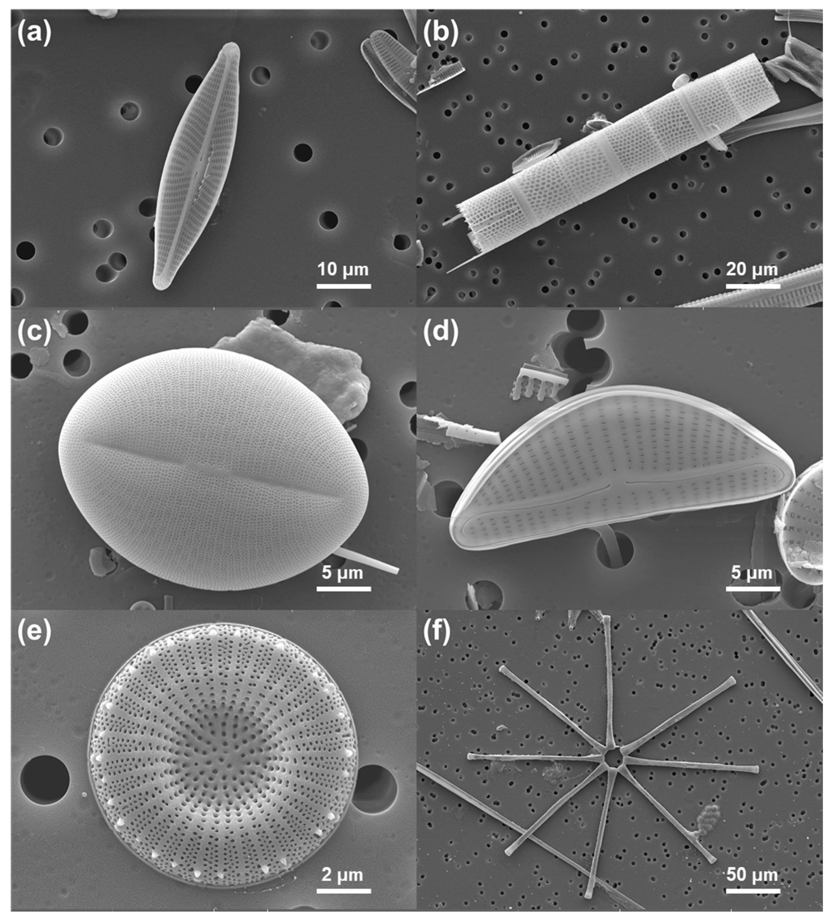 Water 17 02373 g002 Water 17 02373 g002