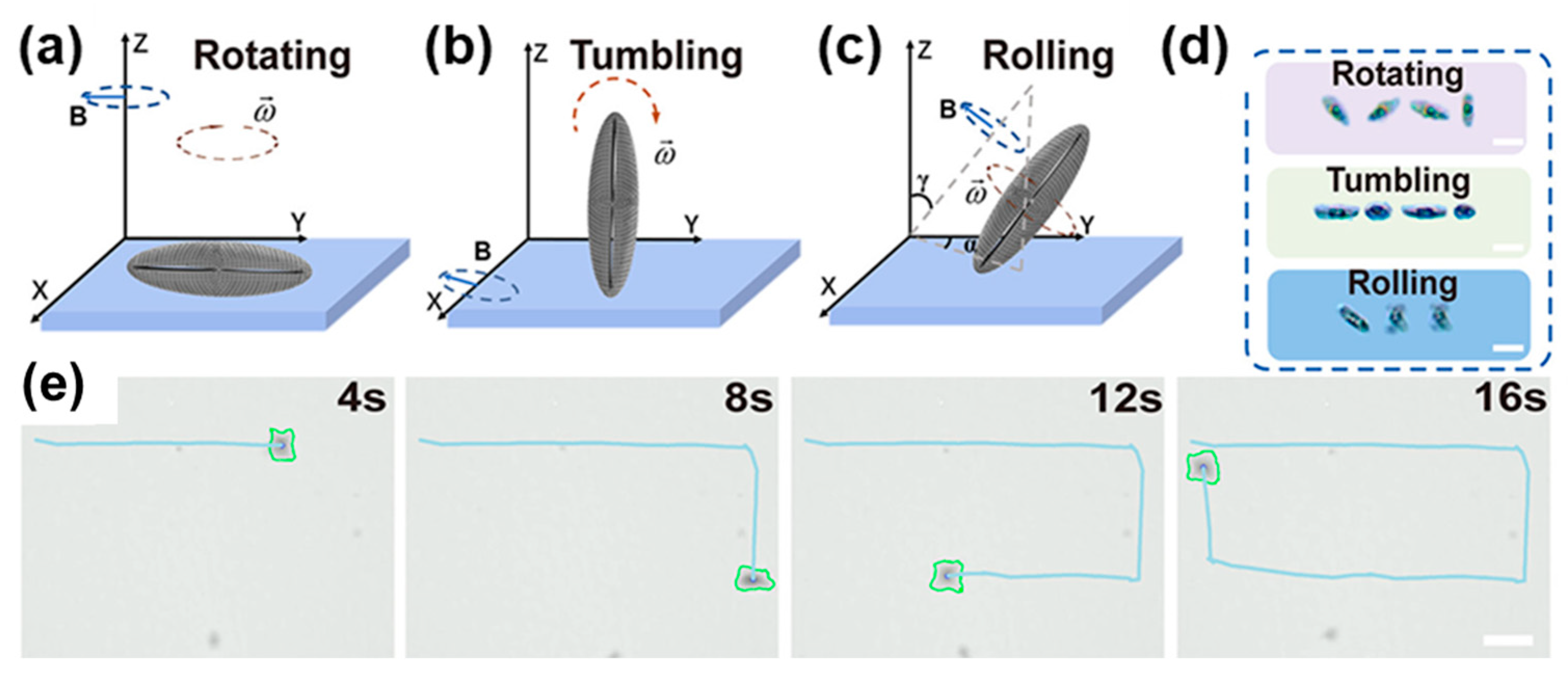 Water 17 02373 g007 Water 17 02373 g007