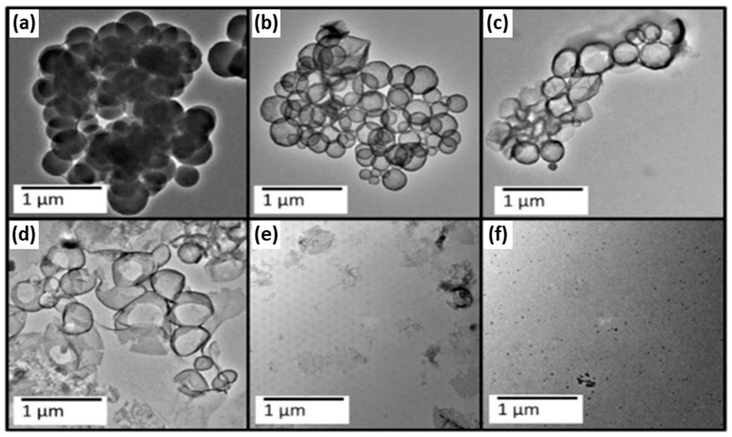 Water 17 02373 g008 Water 17 02373 g008