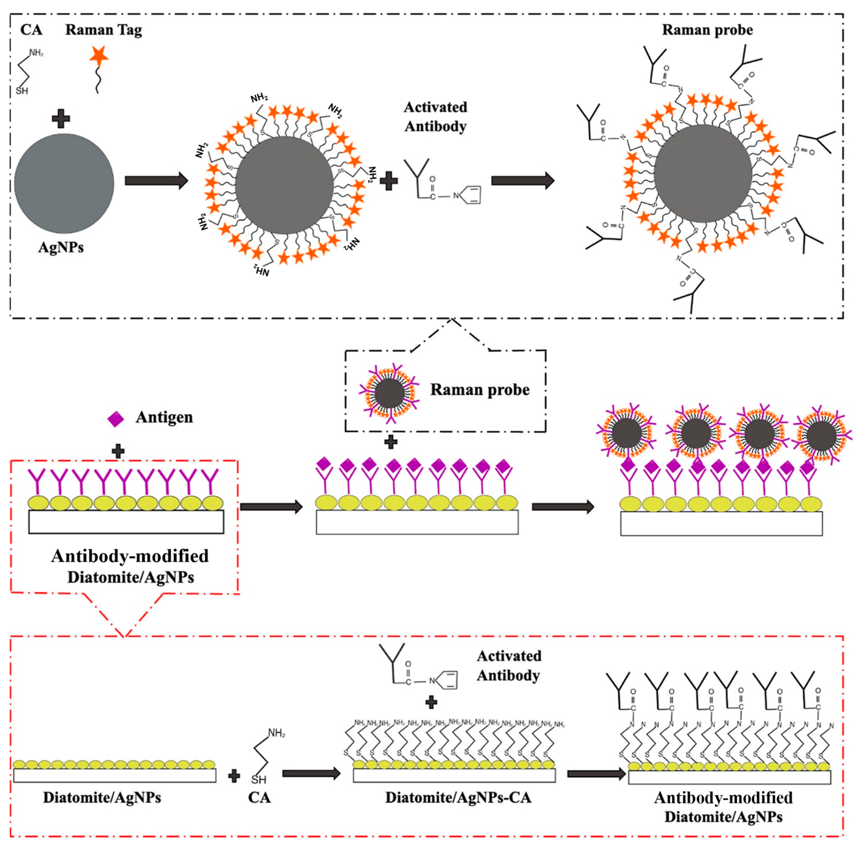 Water 17 02373 g010 Water 17 02373 g010