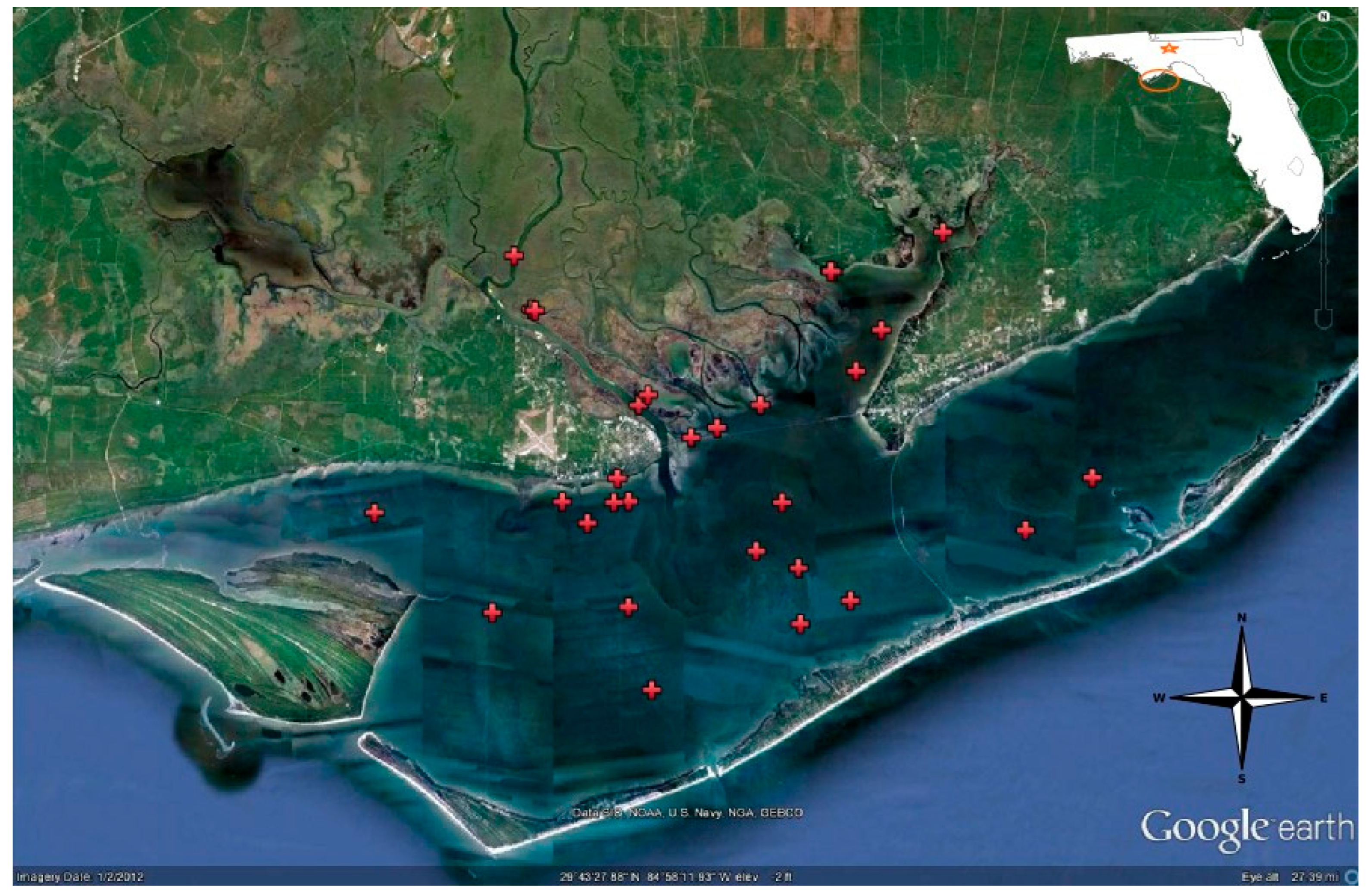 Water 17 02759 g001 Water 17 02759 g001