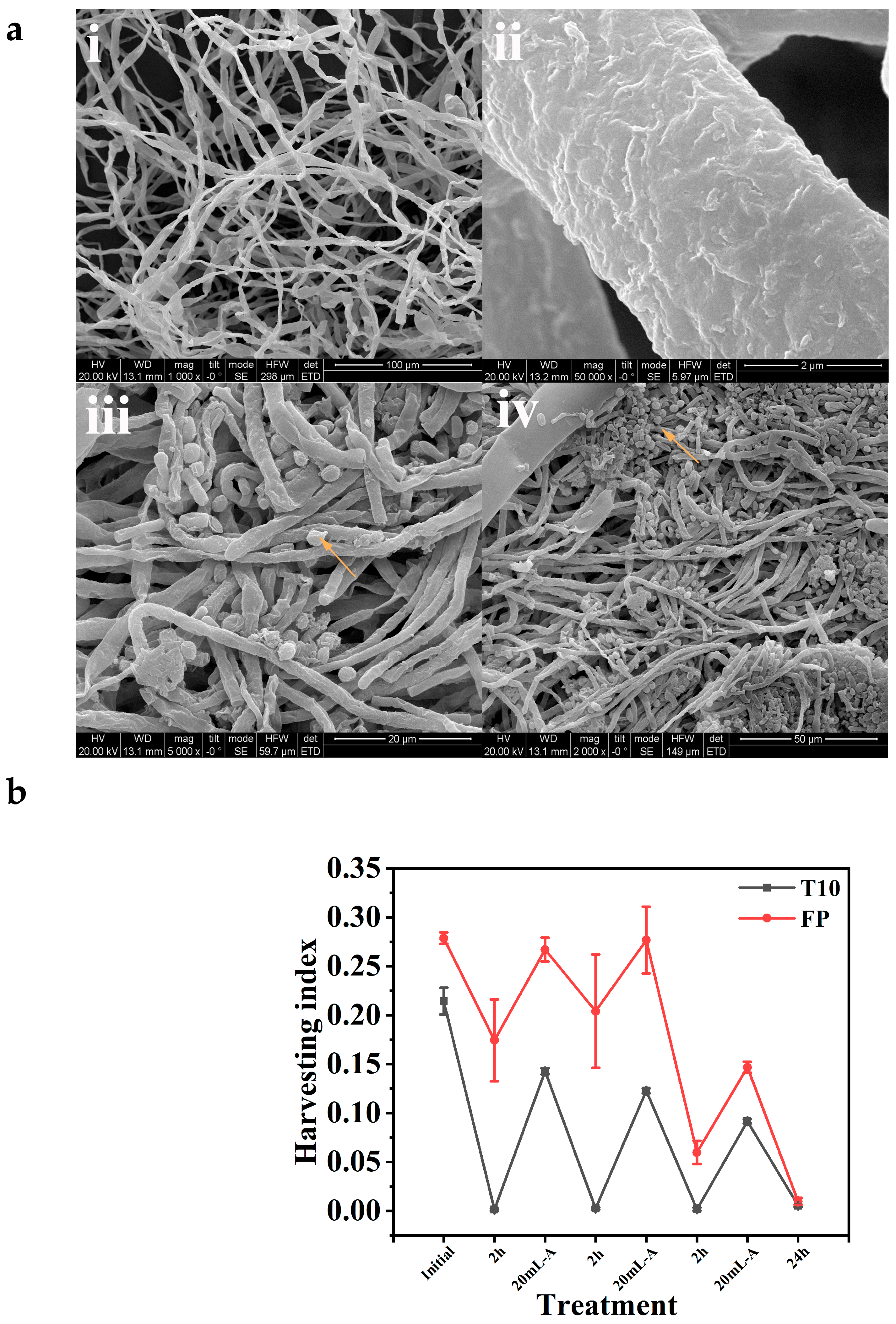 Water 17 02832 g002 Water 17 02832 g002