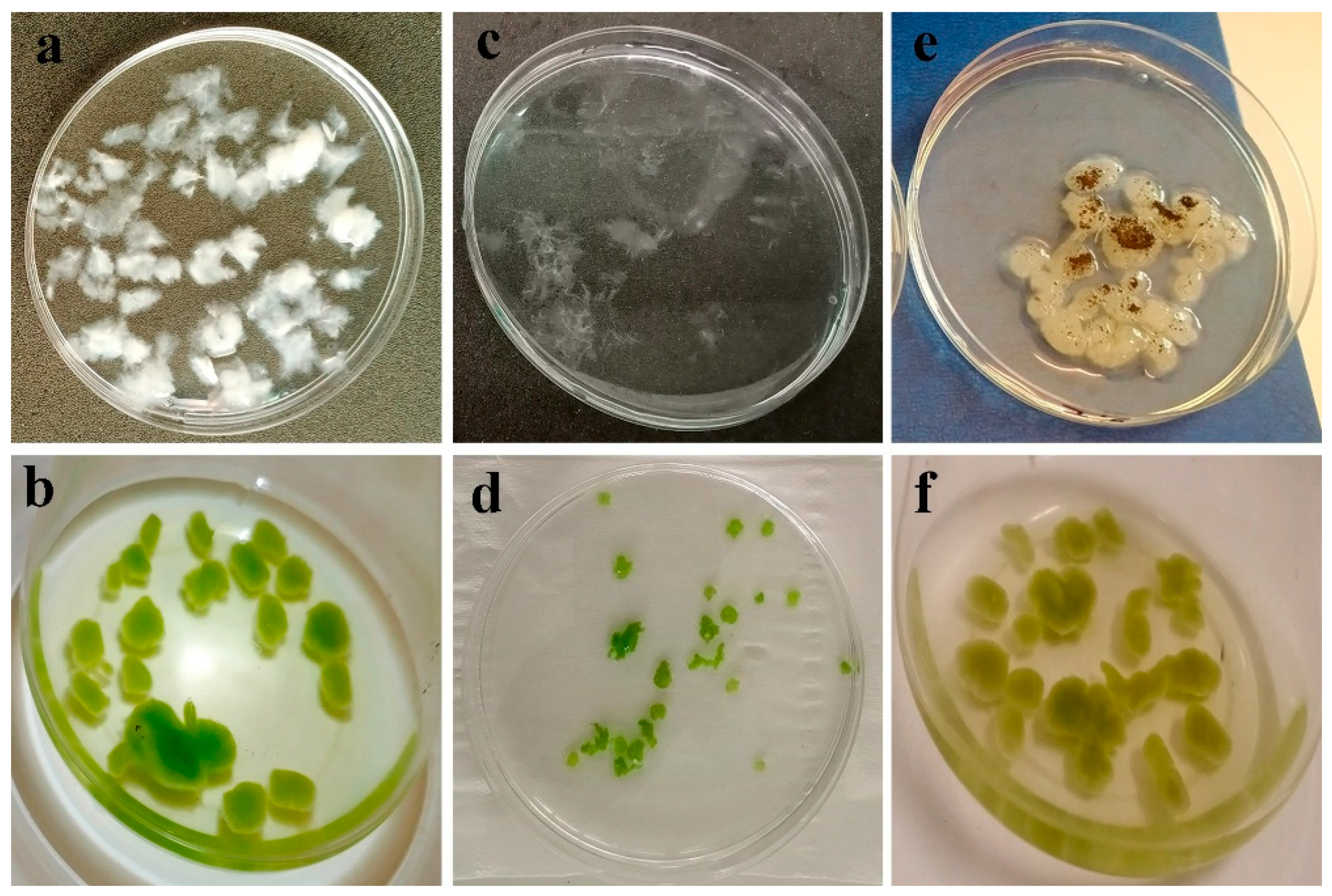 Water 17 02832 g003 Water 17 02832 g003