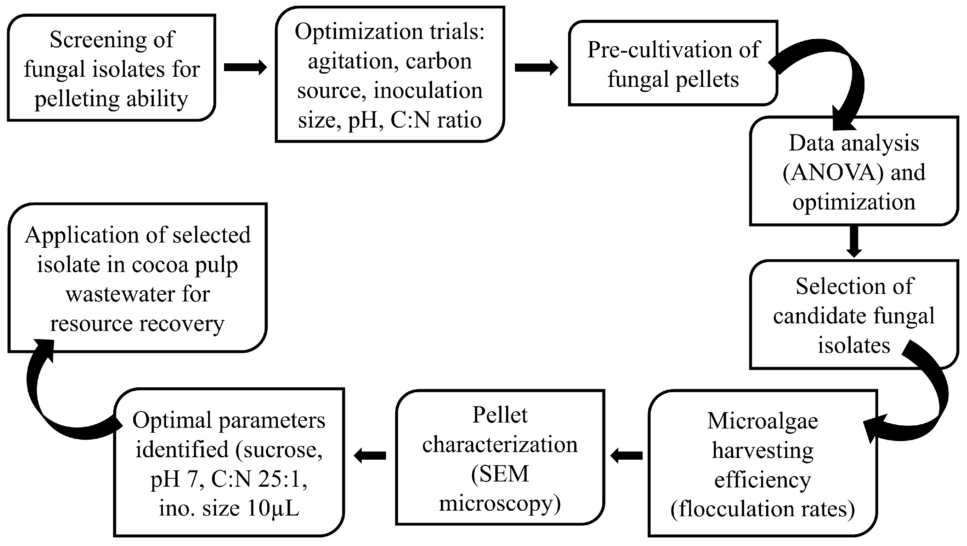 Water 17 02832 g005 Water 17 02832 g005