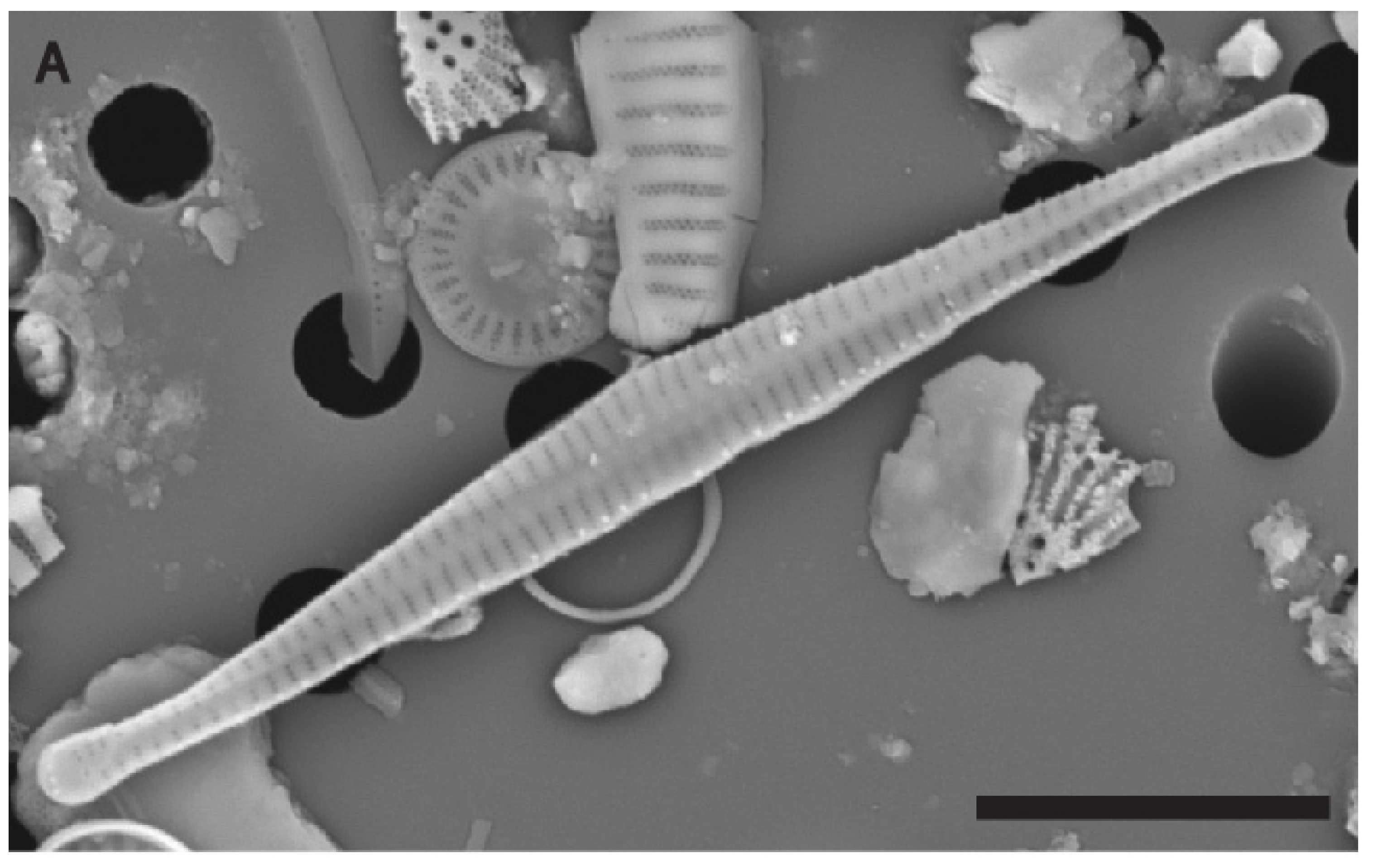 Water 17 02843 g005a Water 17 02843 g005a