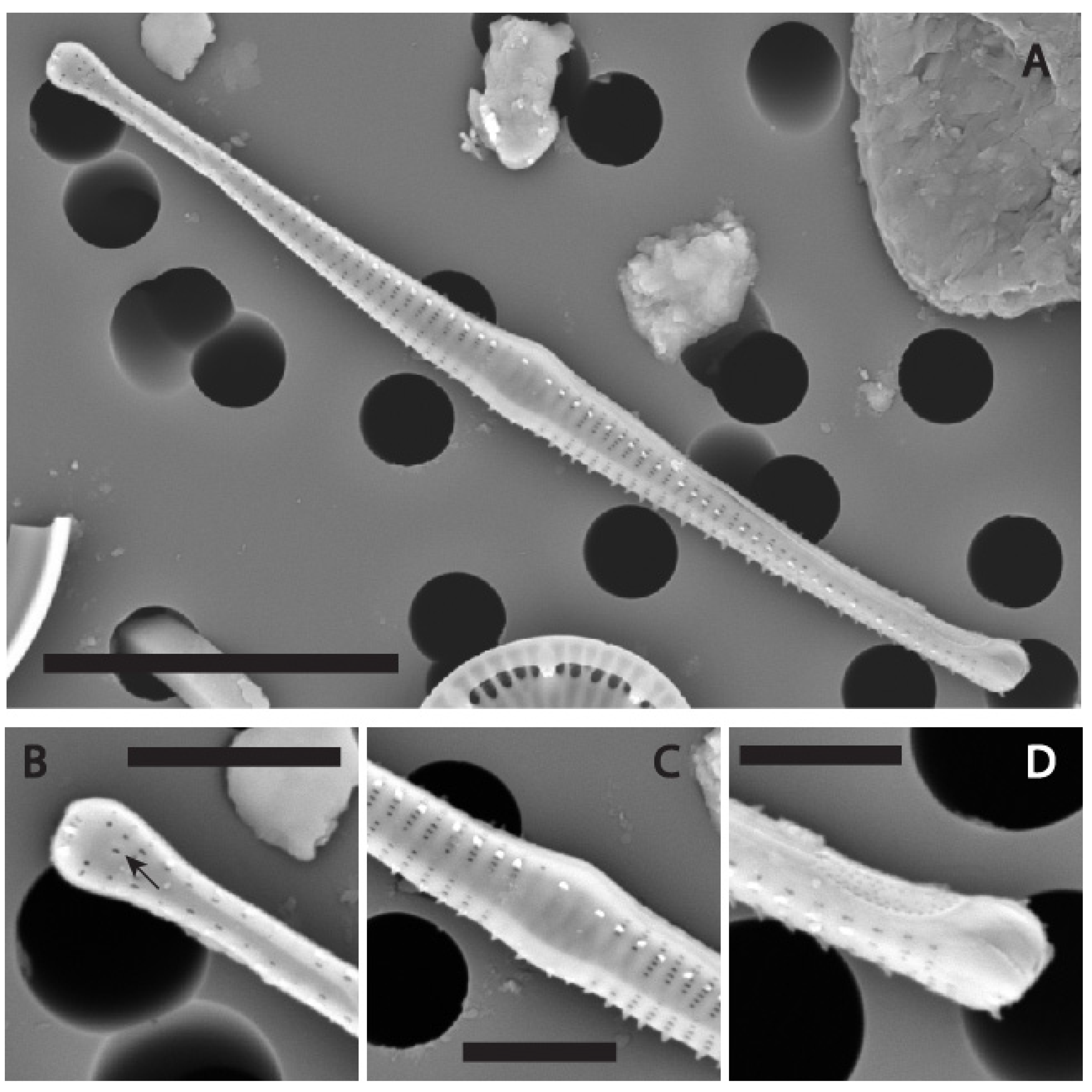 Water 17 02843 g006 Water 17 02843 g006