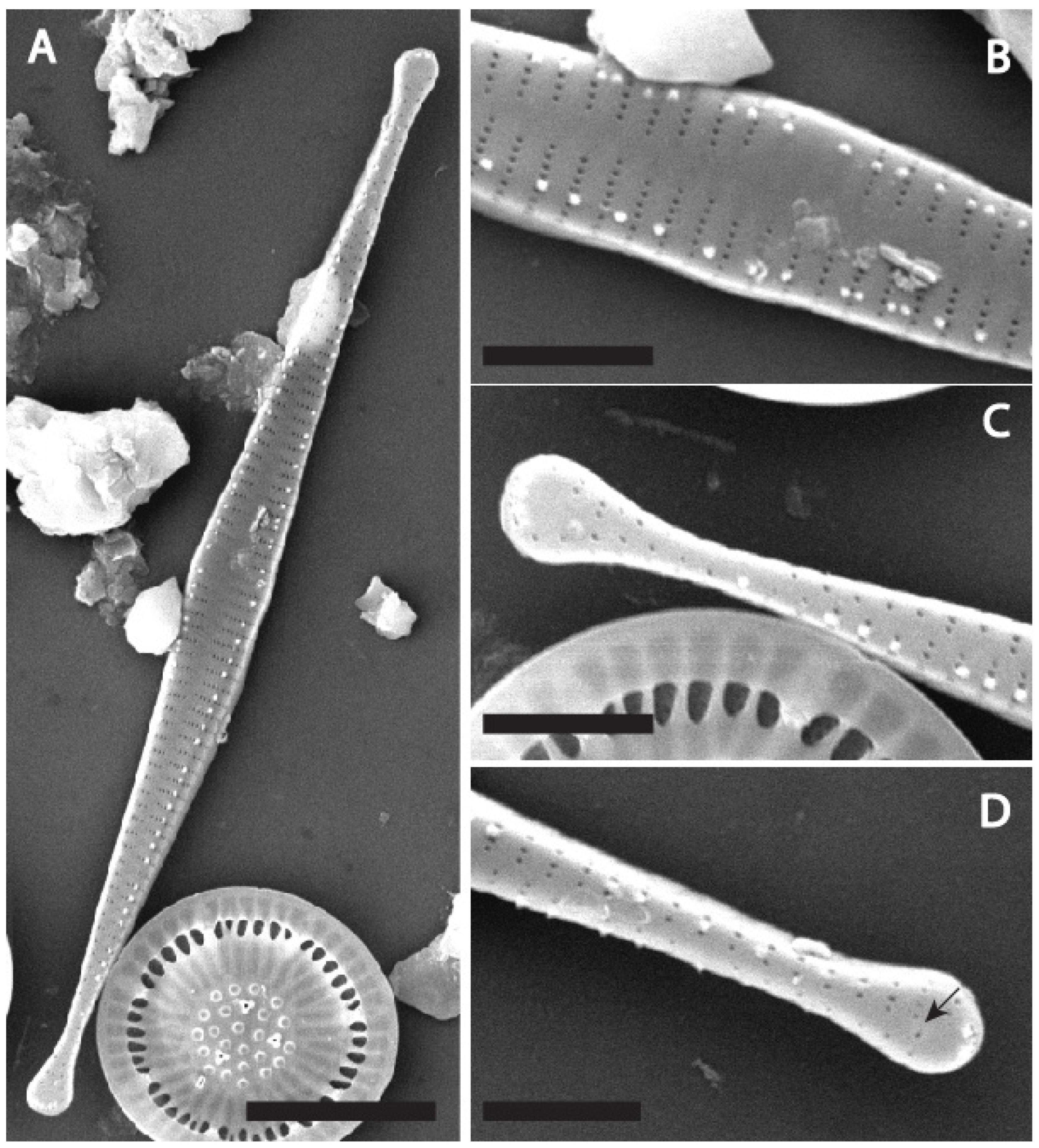 Water 17 02843 g007 Water 17 02843 g007