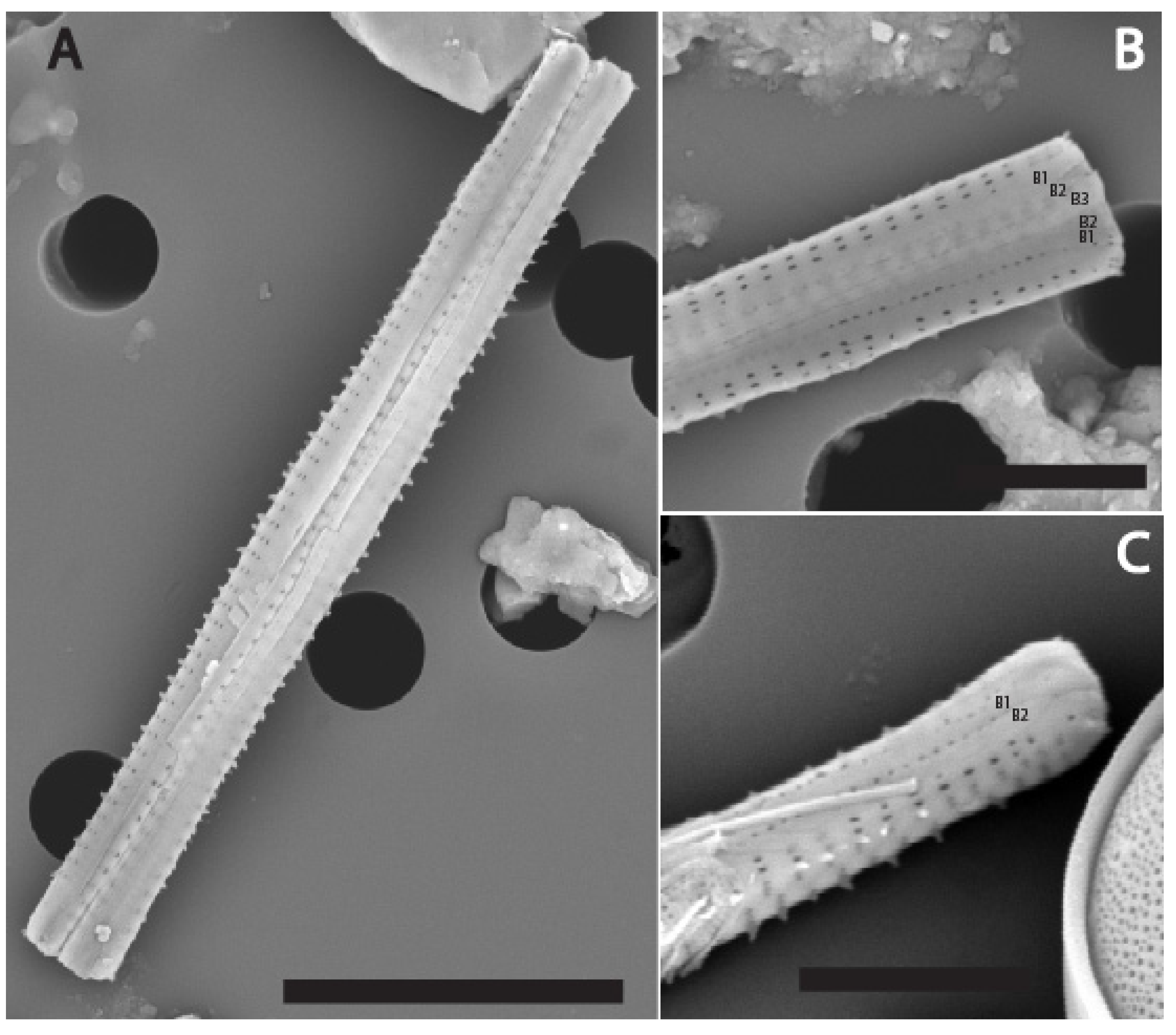 Water 17 02843 g008 Water 17 02843 g008