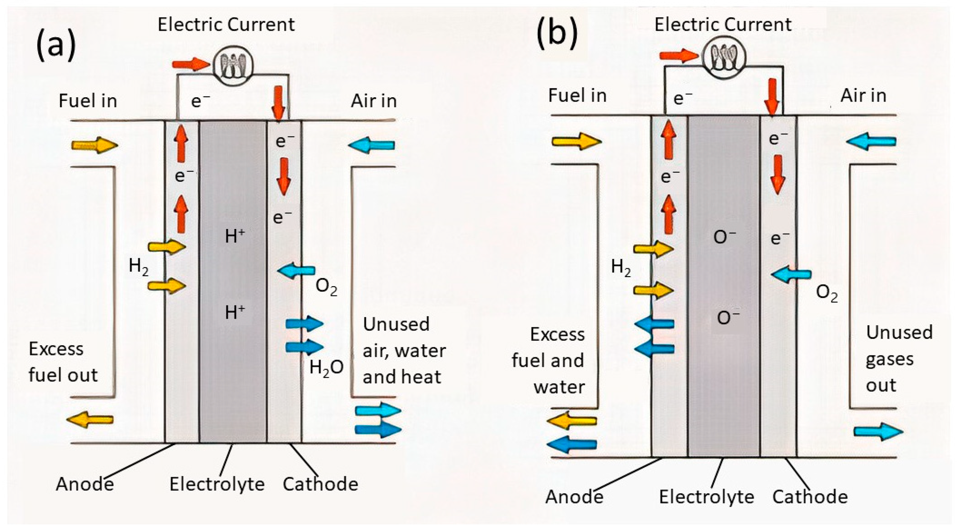 Wevj 14 00156 g012 Wevj 14 00156 g012