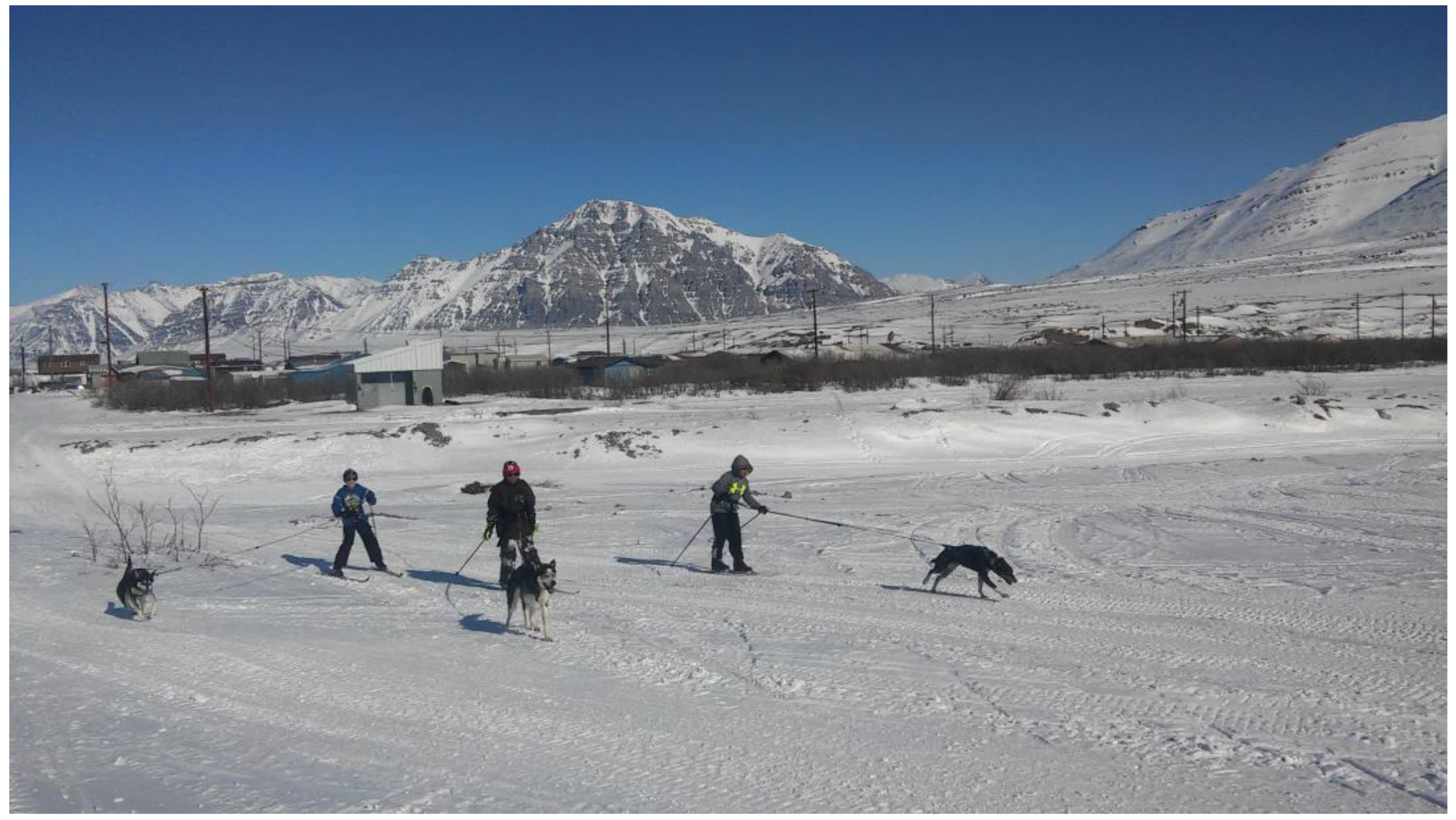 Youth 03 00021 g001 Youth 03 00021 g001