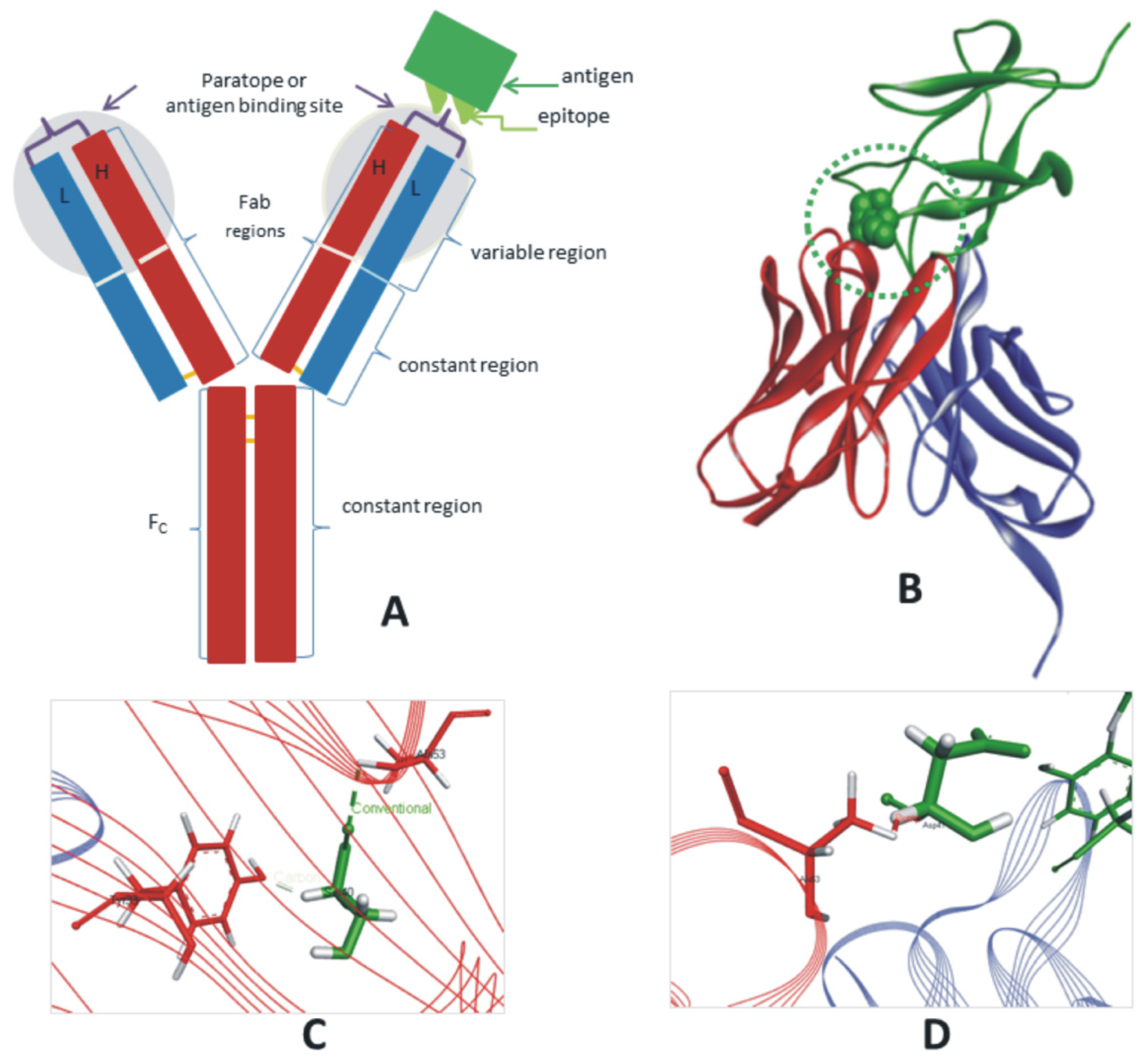 Zoonoticdis 02 00012 g001 Zoonoticdis 02 00012 g001