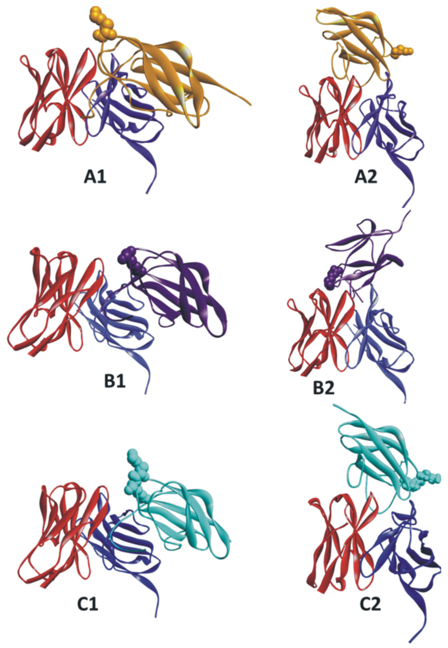 Zoonoticdis 02 00012 g002 Zoonoticdis 02 00012 g002