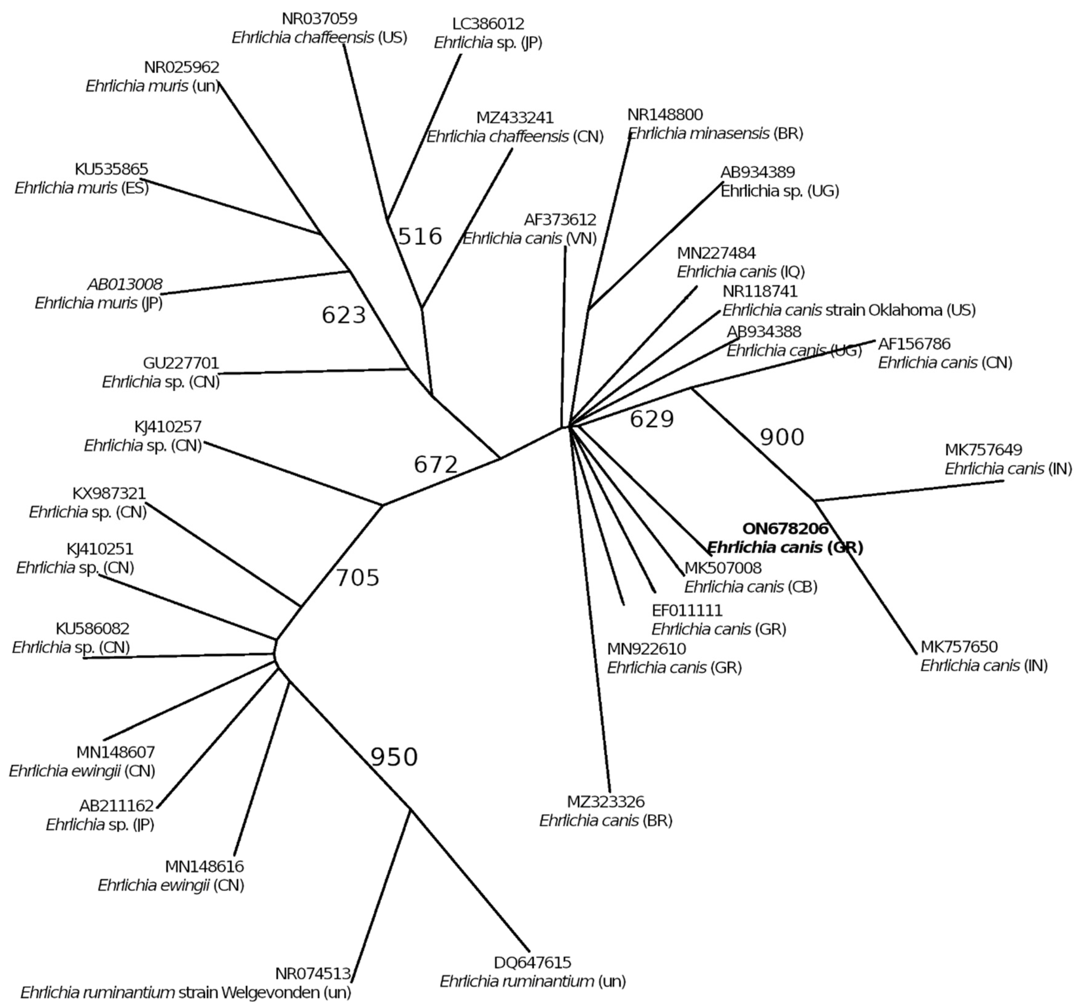 Zoonoticdis 02 00020 g002